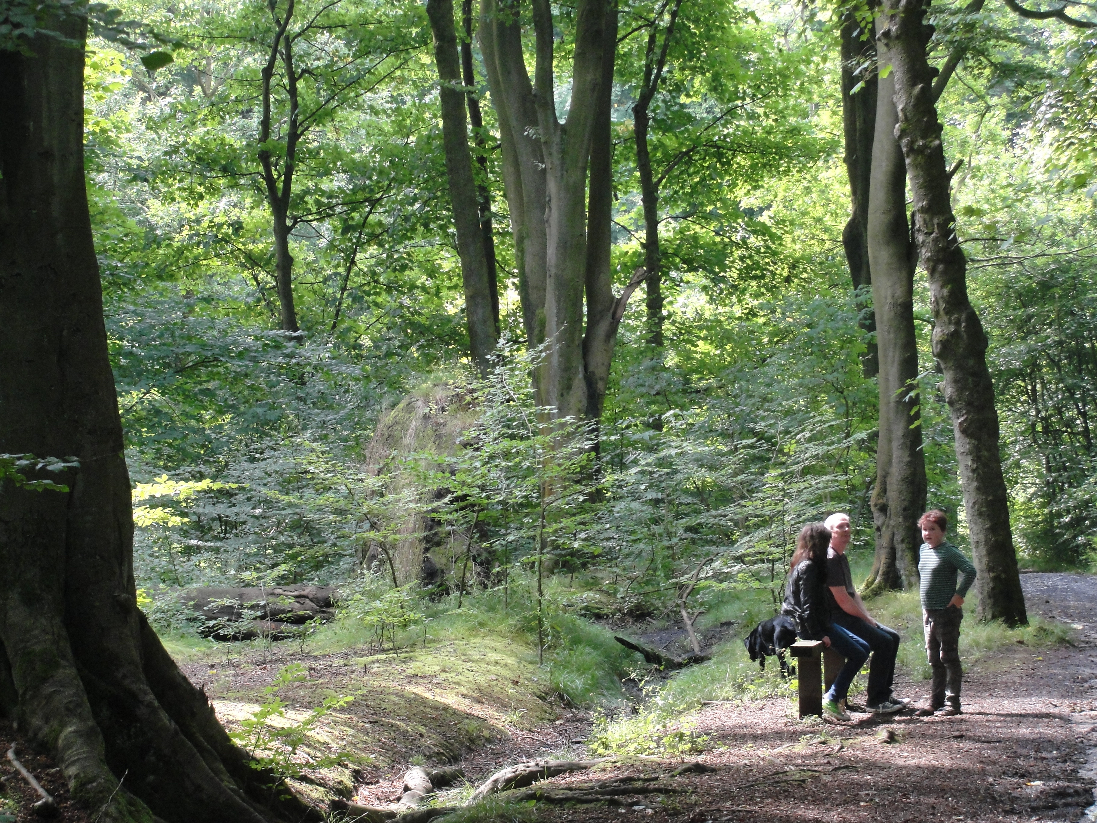 A parent and two children walking on a wooded trail with notebooks and a small backpack, taking a learning break outdoors